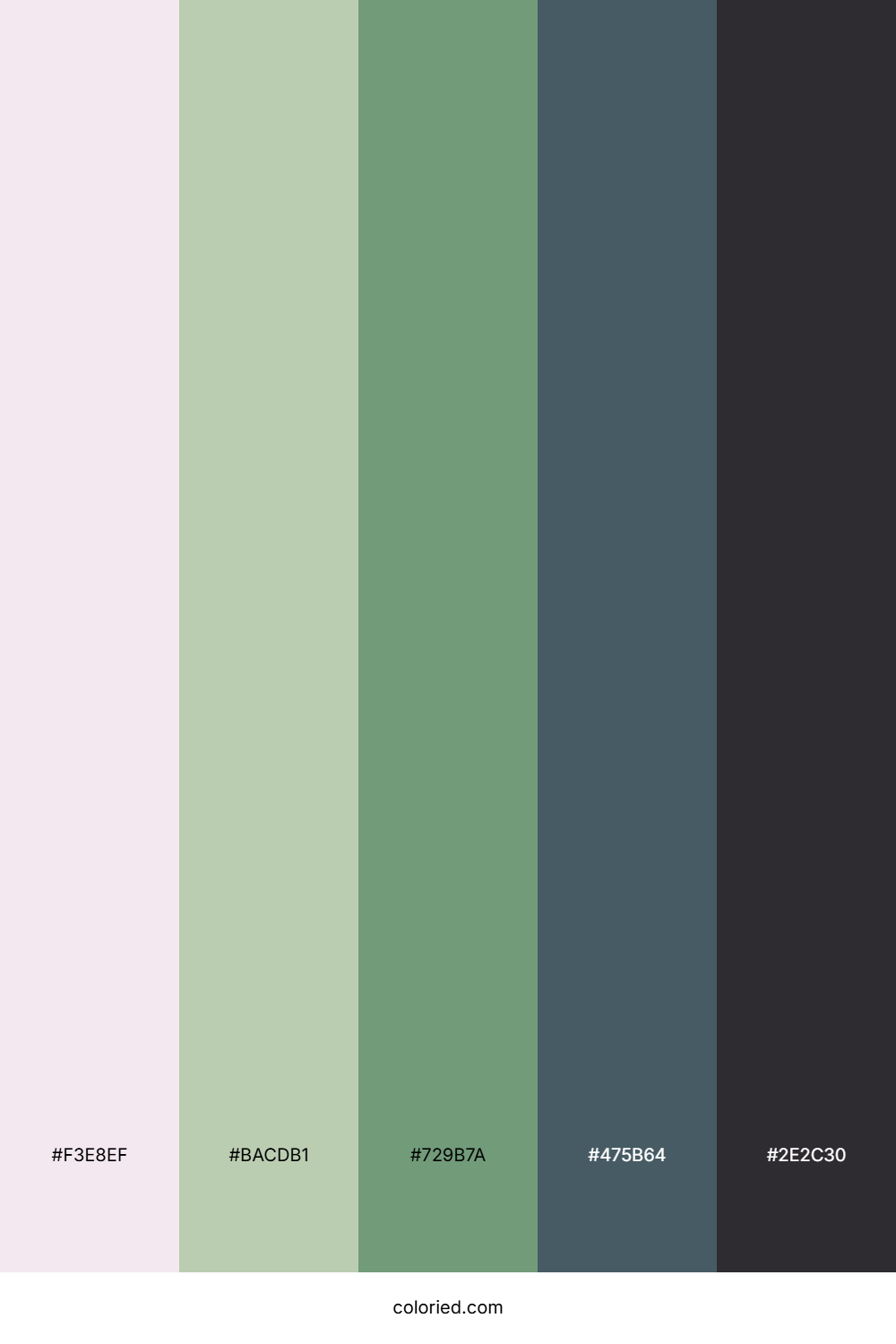Muted Forest Stone Color Palette