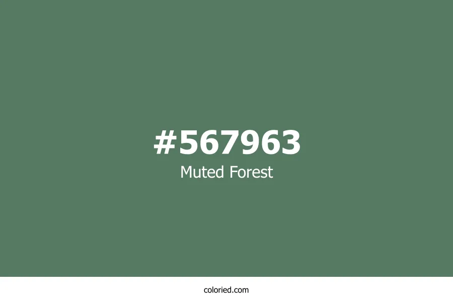 Muted Forest Color