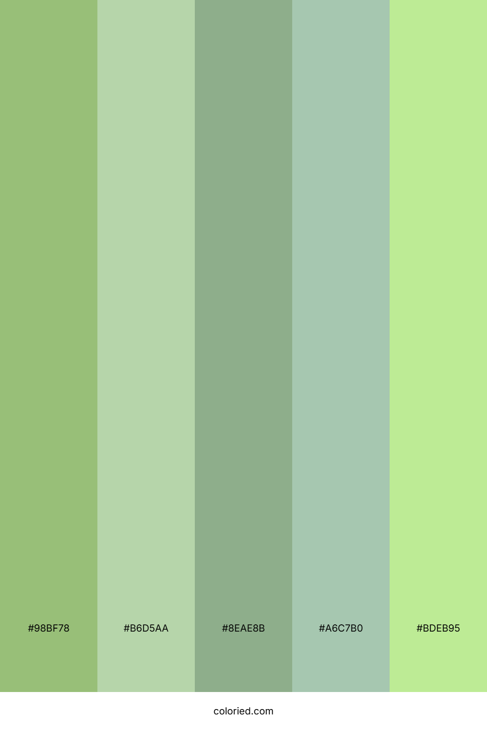 Muted Garden Haze Color Palette