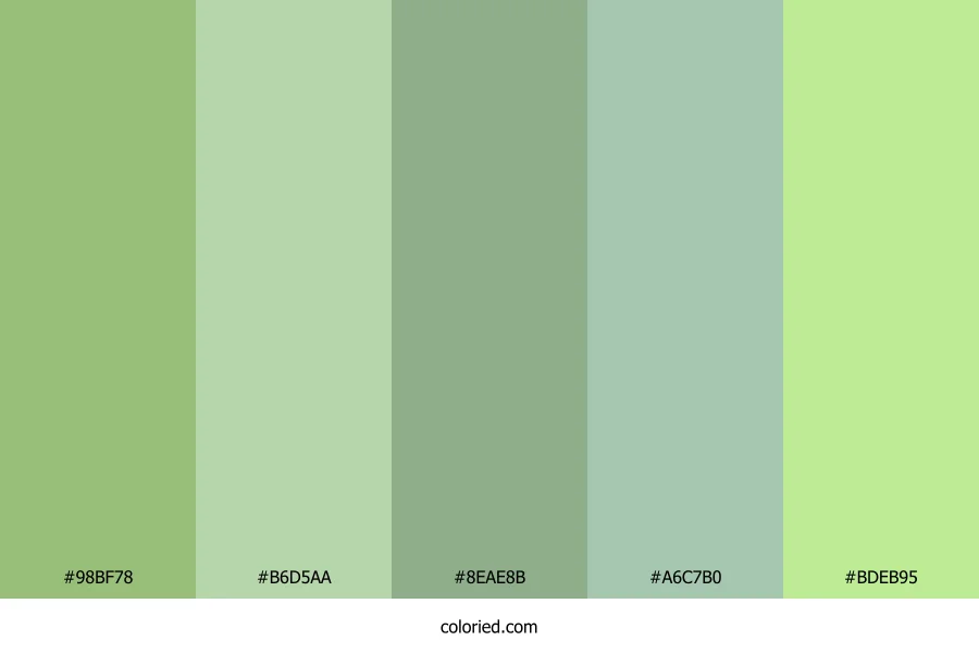 Muted Garden Haze Color Palette