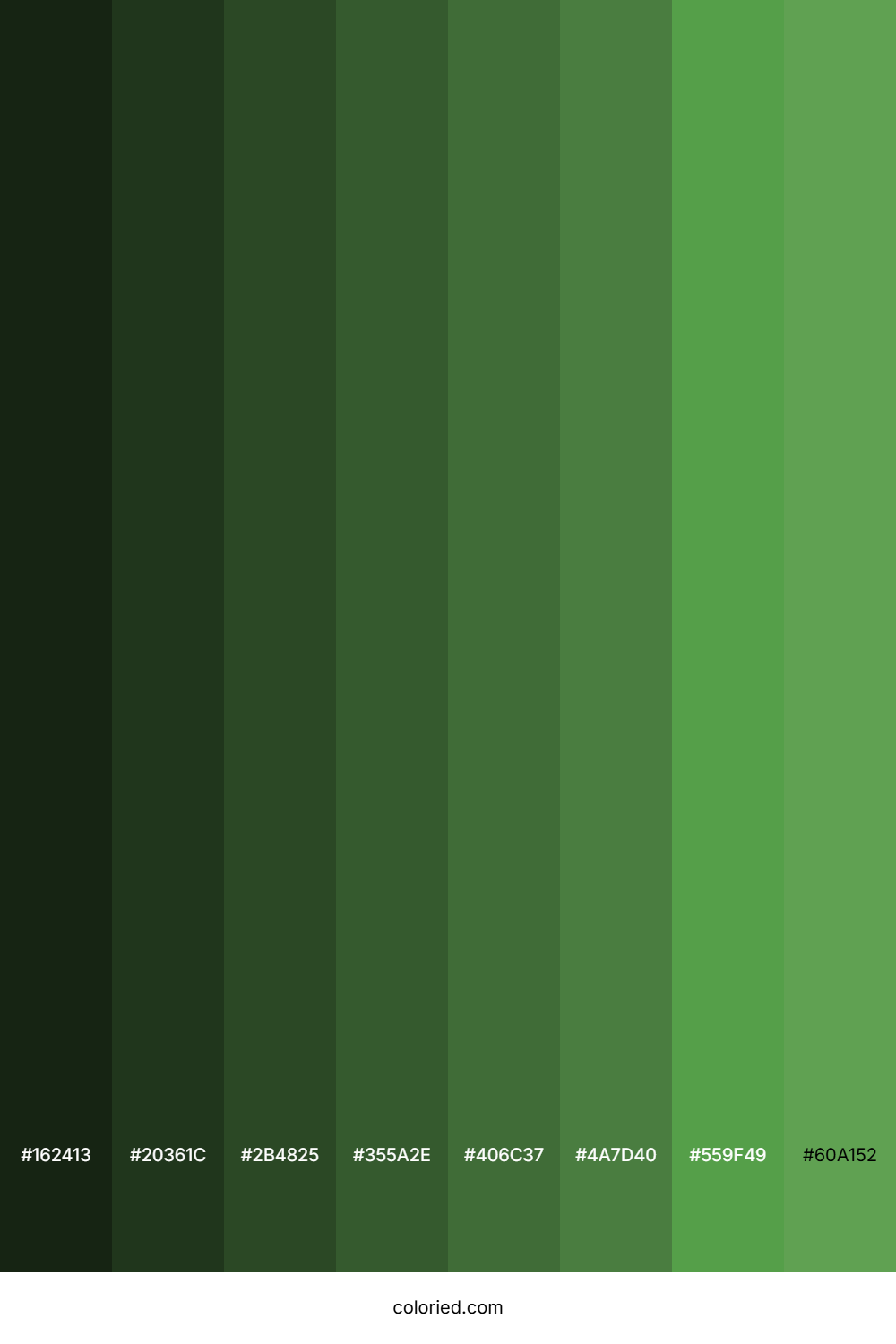 Muted Green Shades