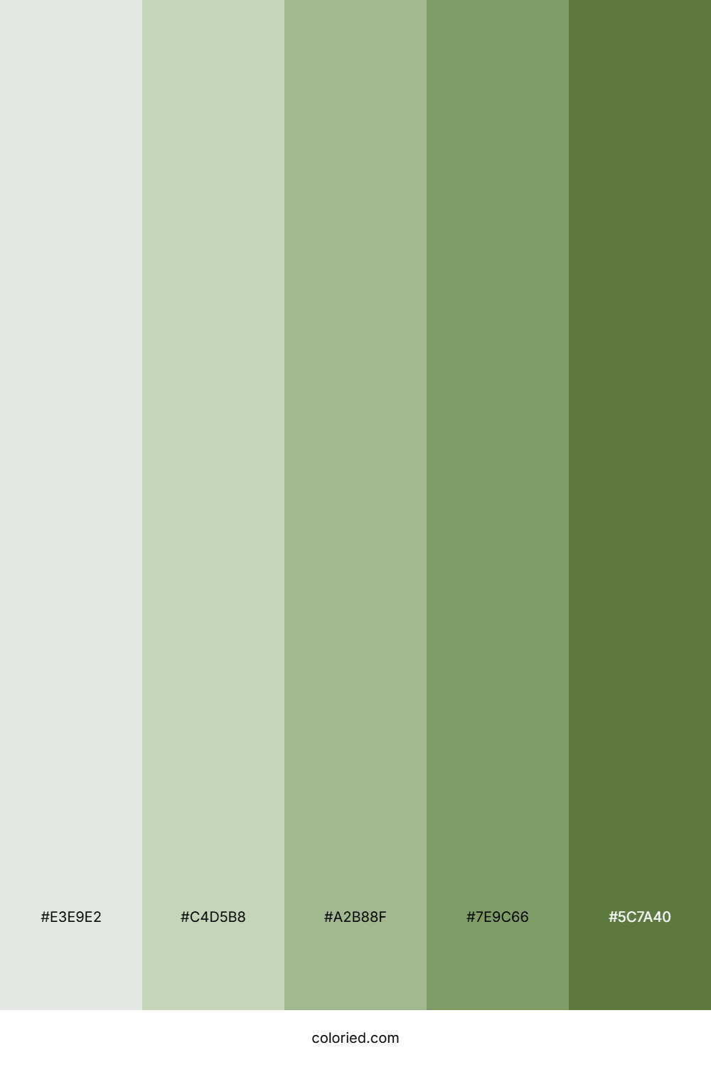Muted Greens Color Palette