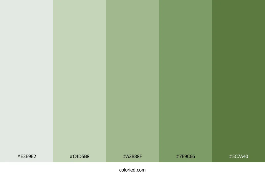Muted Greens Color Palette