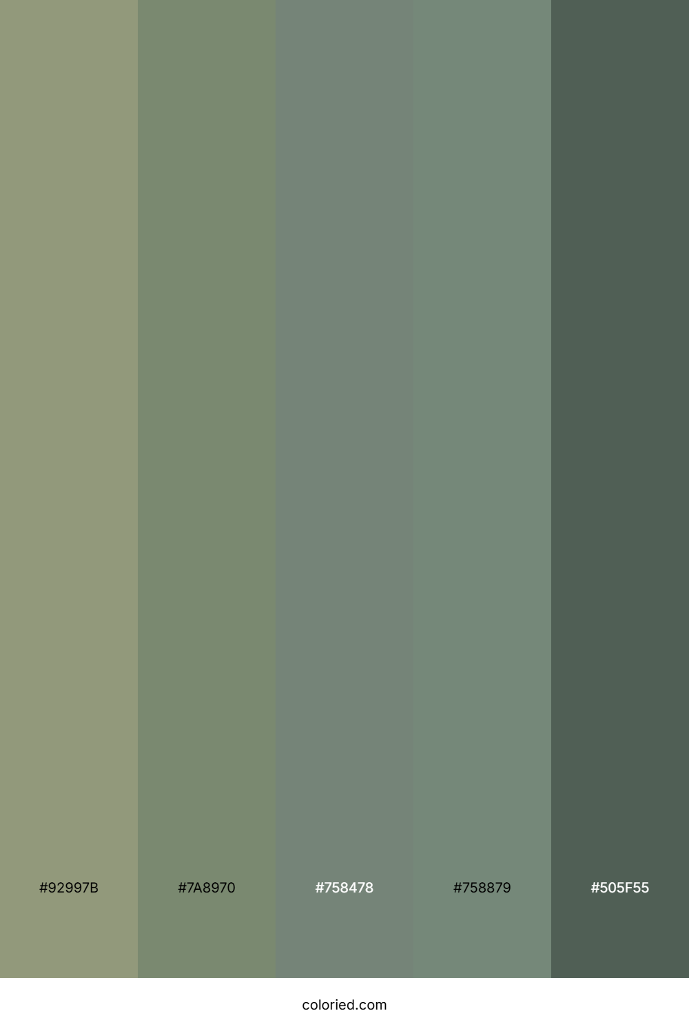 Muted Sage and Stone Green Color Palette