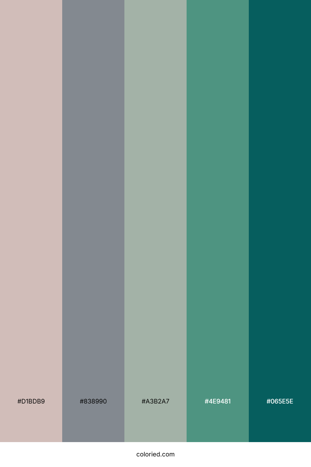 Muted Sage Mist Palette