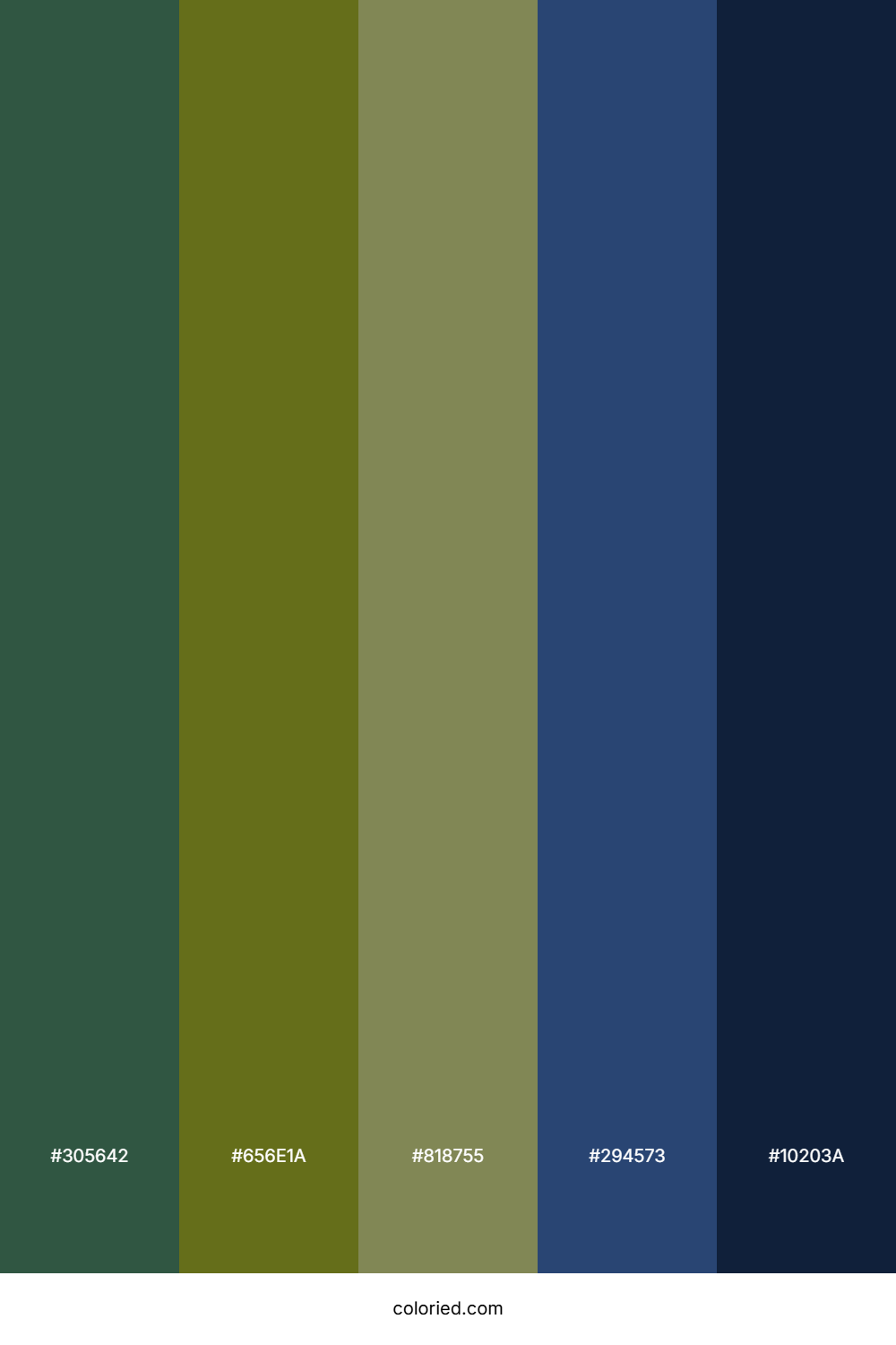 Mystic Jungle Night Color Palette