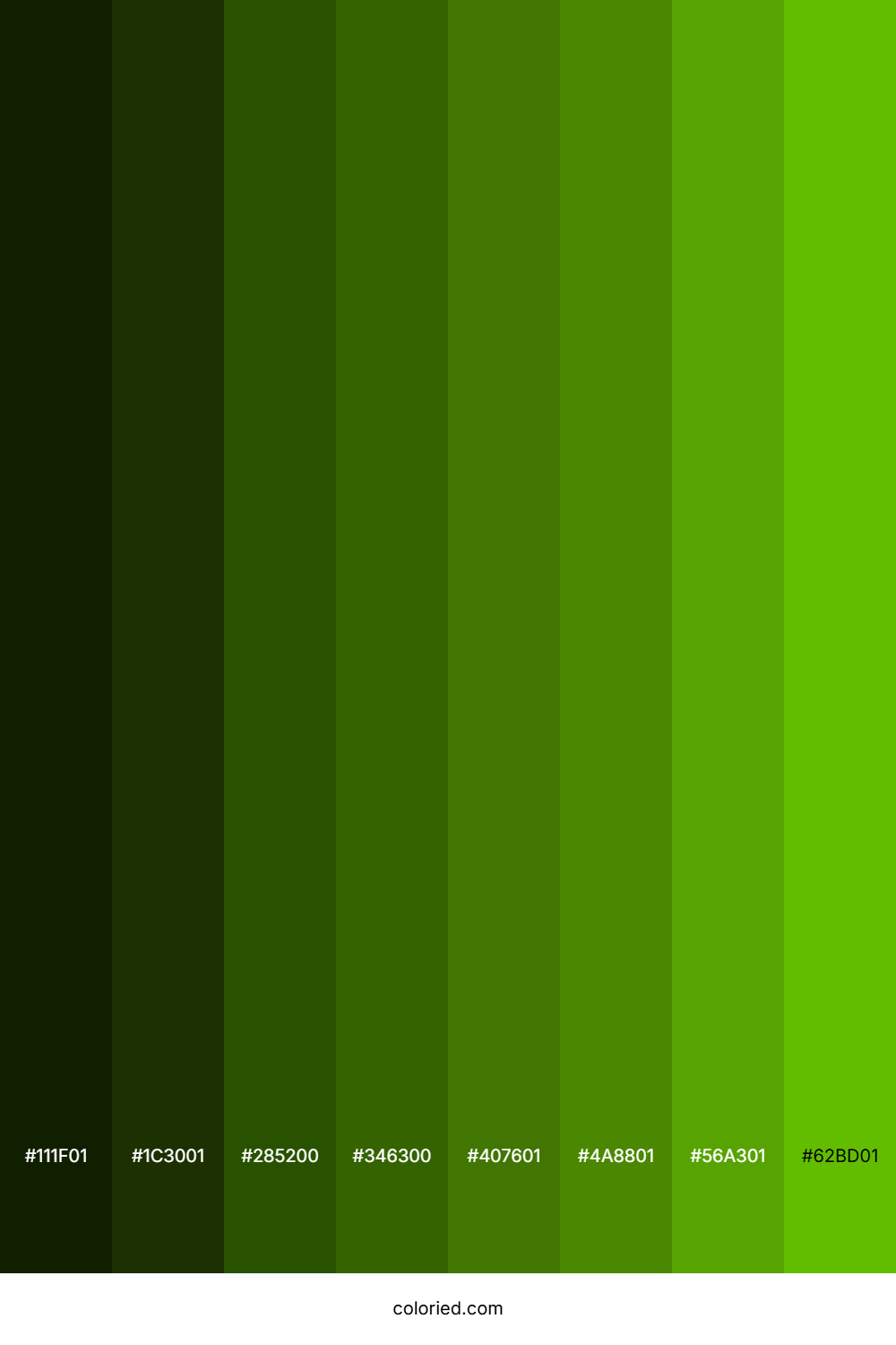 Napier Green Color Shades