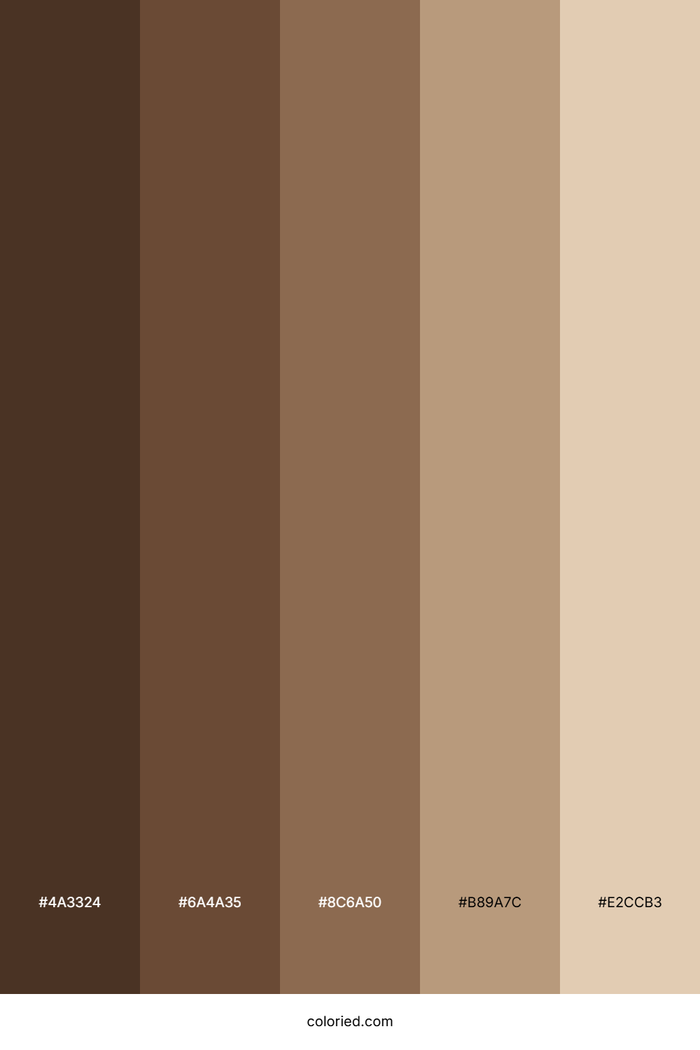 Natural Mocha Color Palette