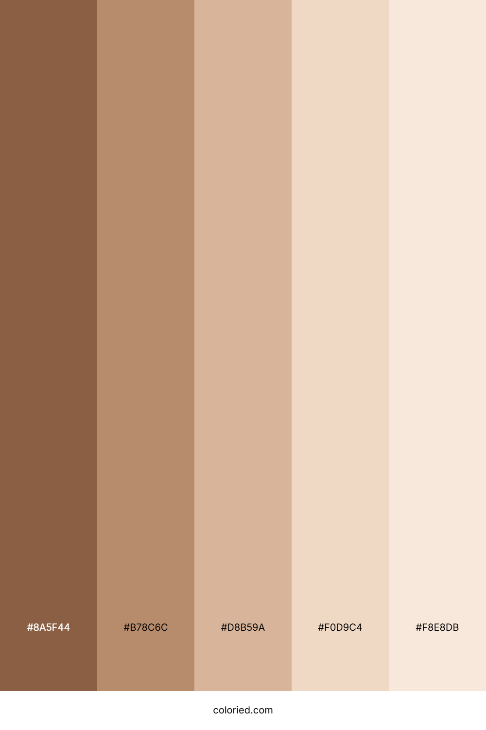 Natural Skin tones Color Palette