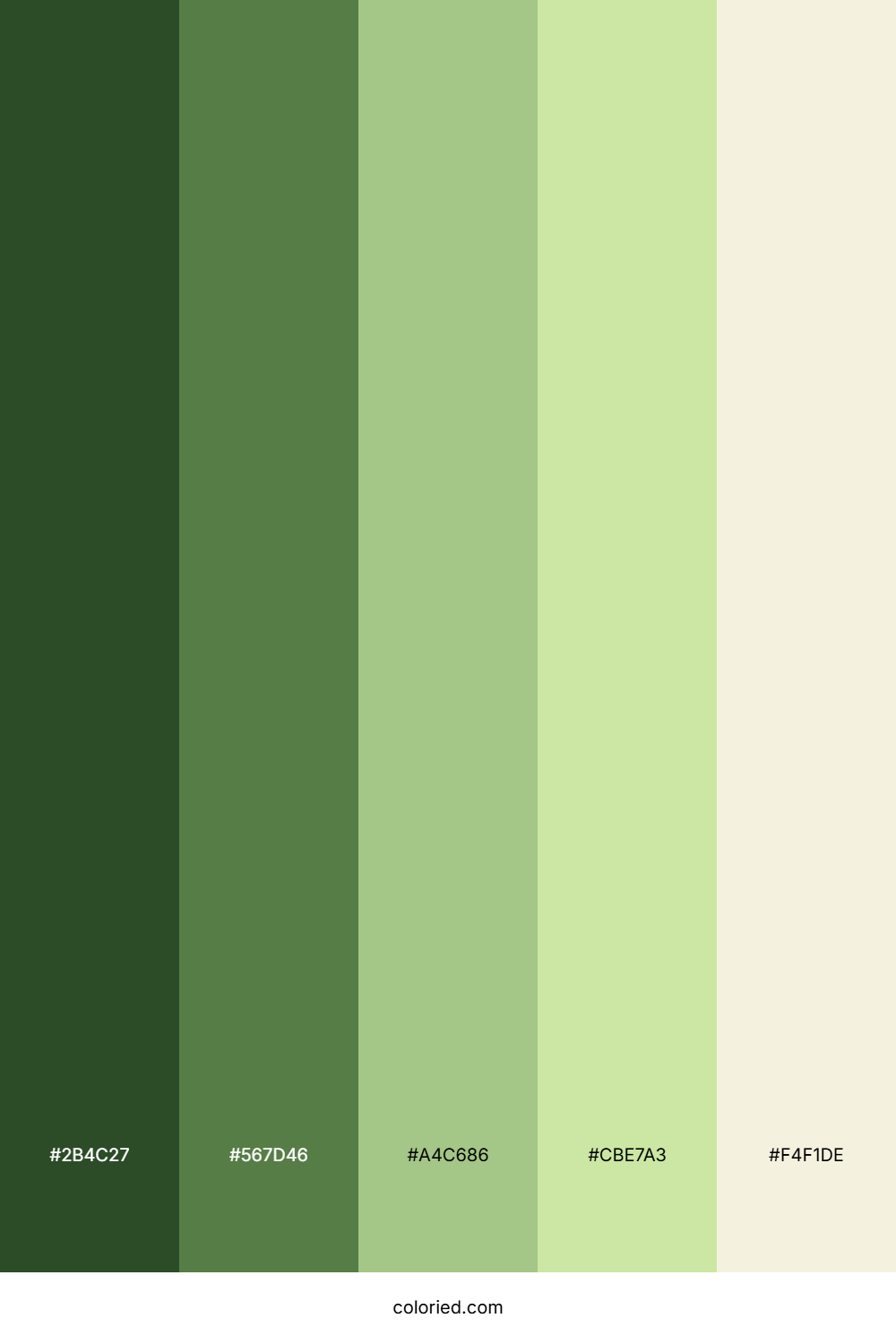 Nature Gradient Color Palette