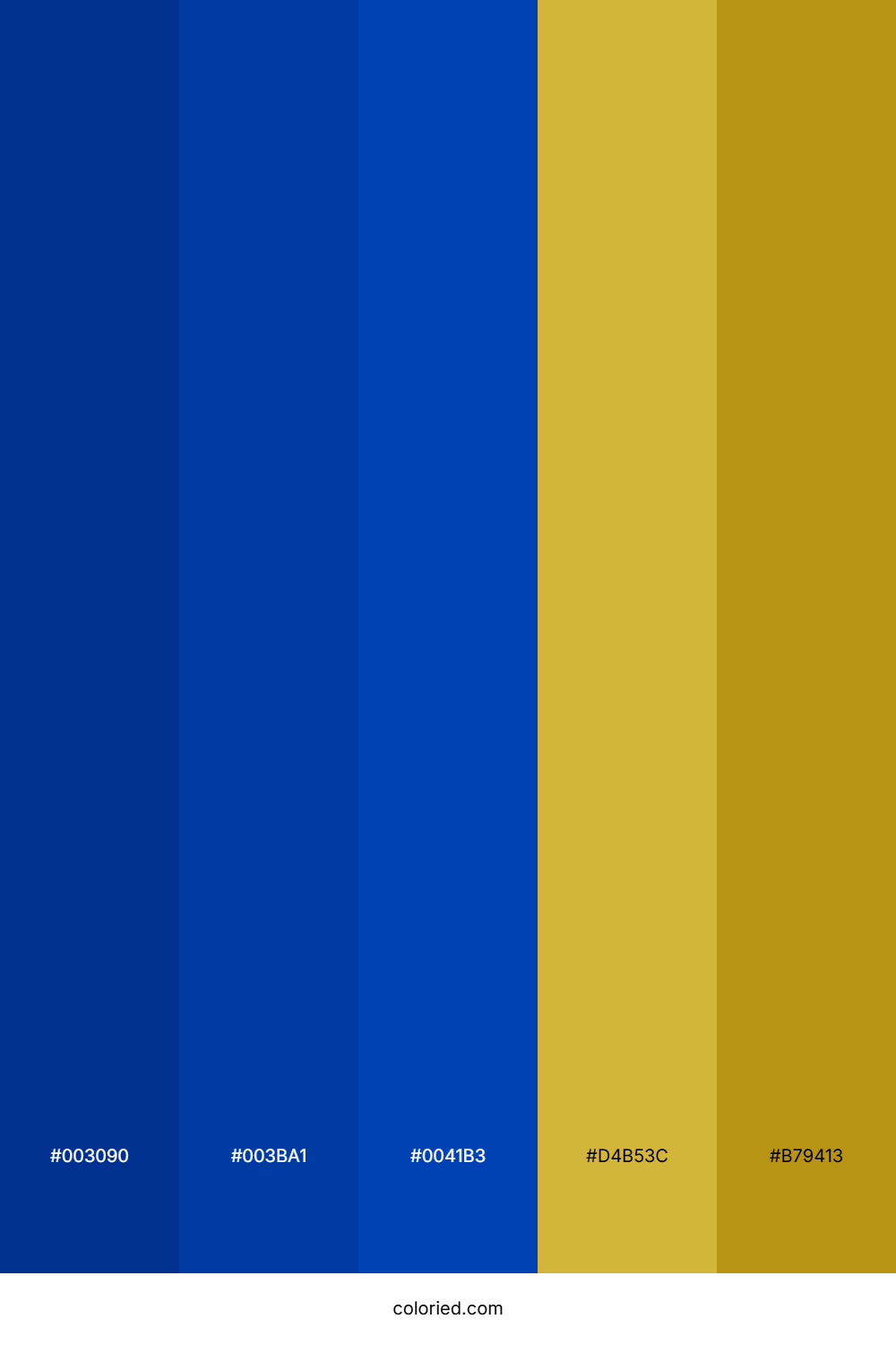 Navy and Gold Color Palette