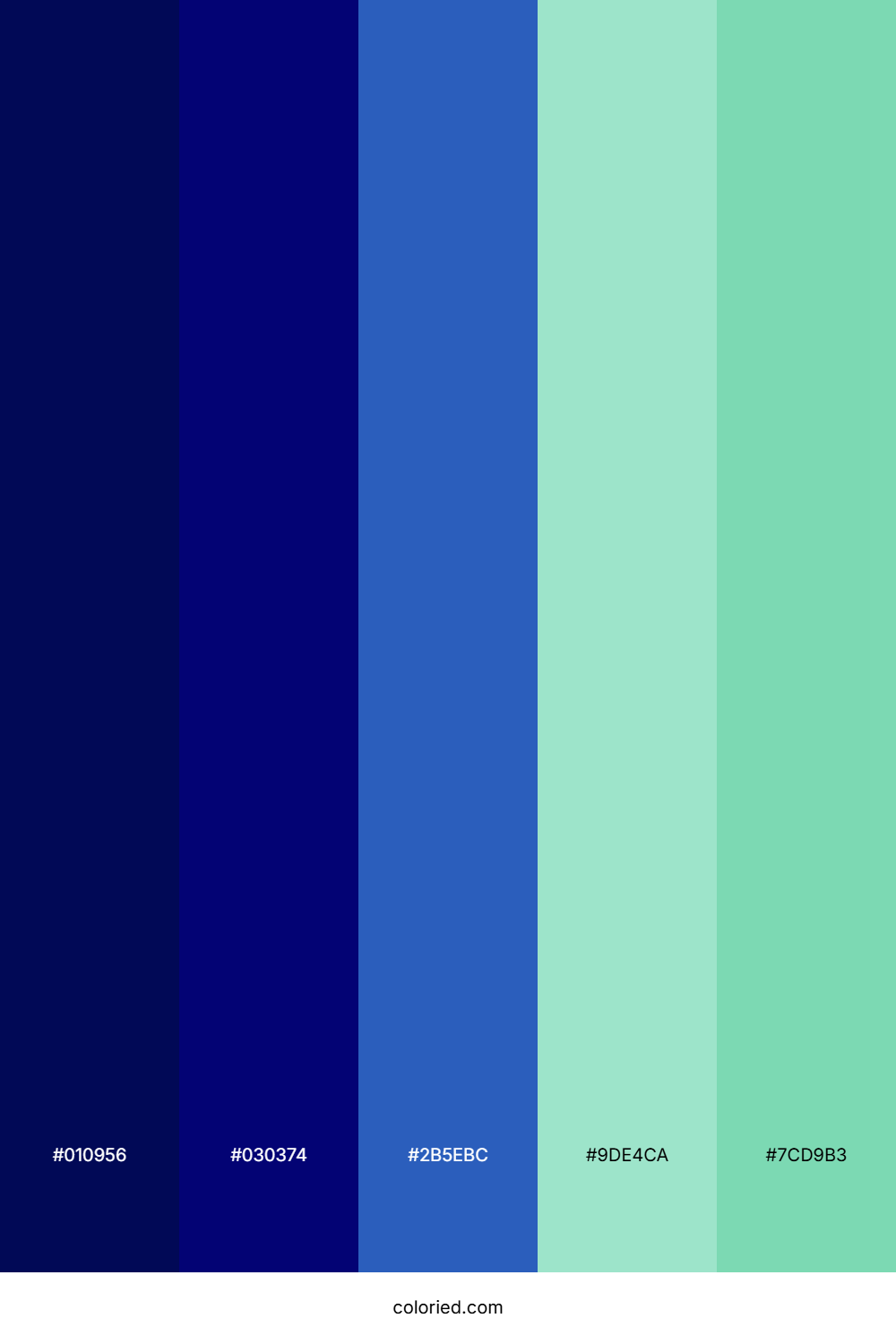 Navy And Mint Color Palette