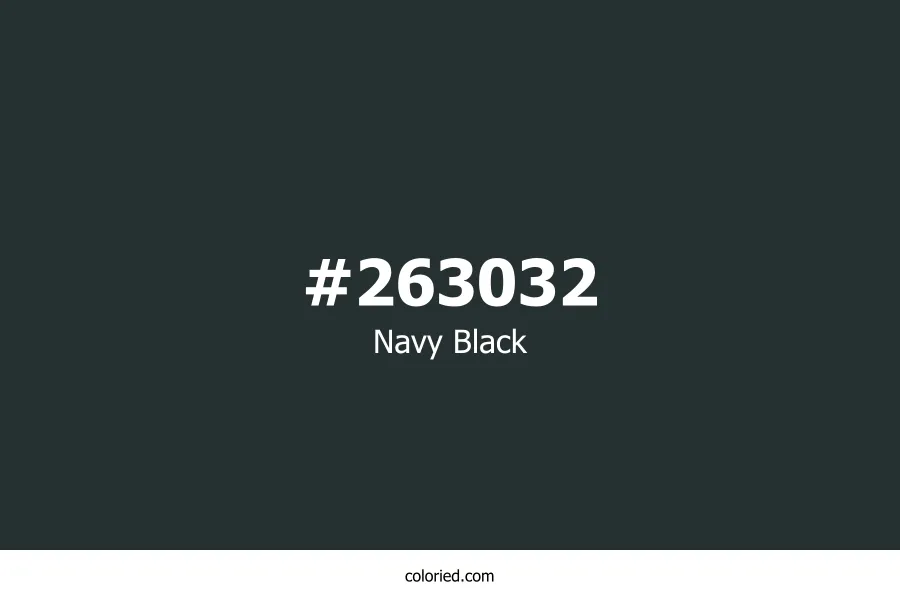 Navy Black Color