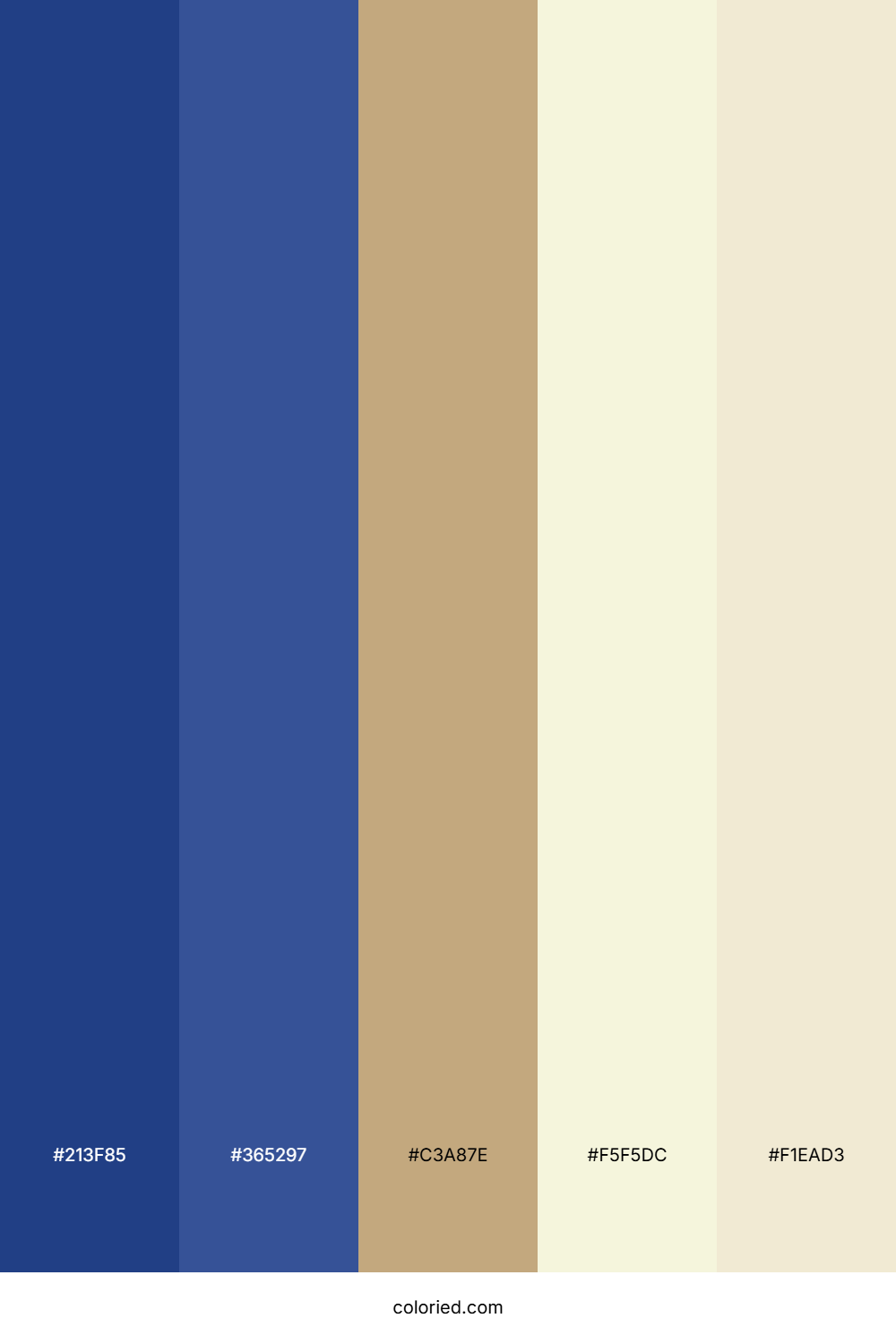 Navy Blue And Beige Color Palette
