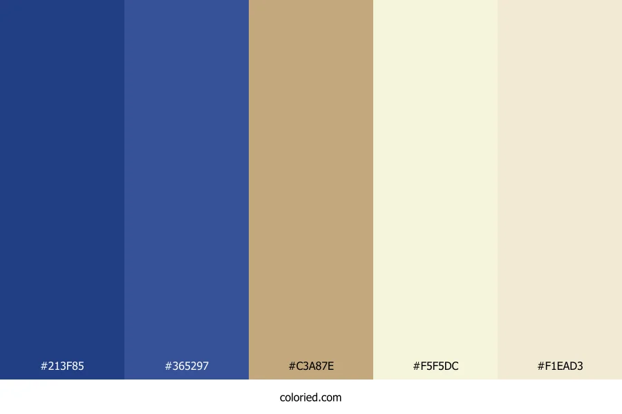 Navy Blue and Beige Color Palette