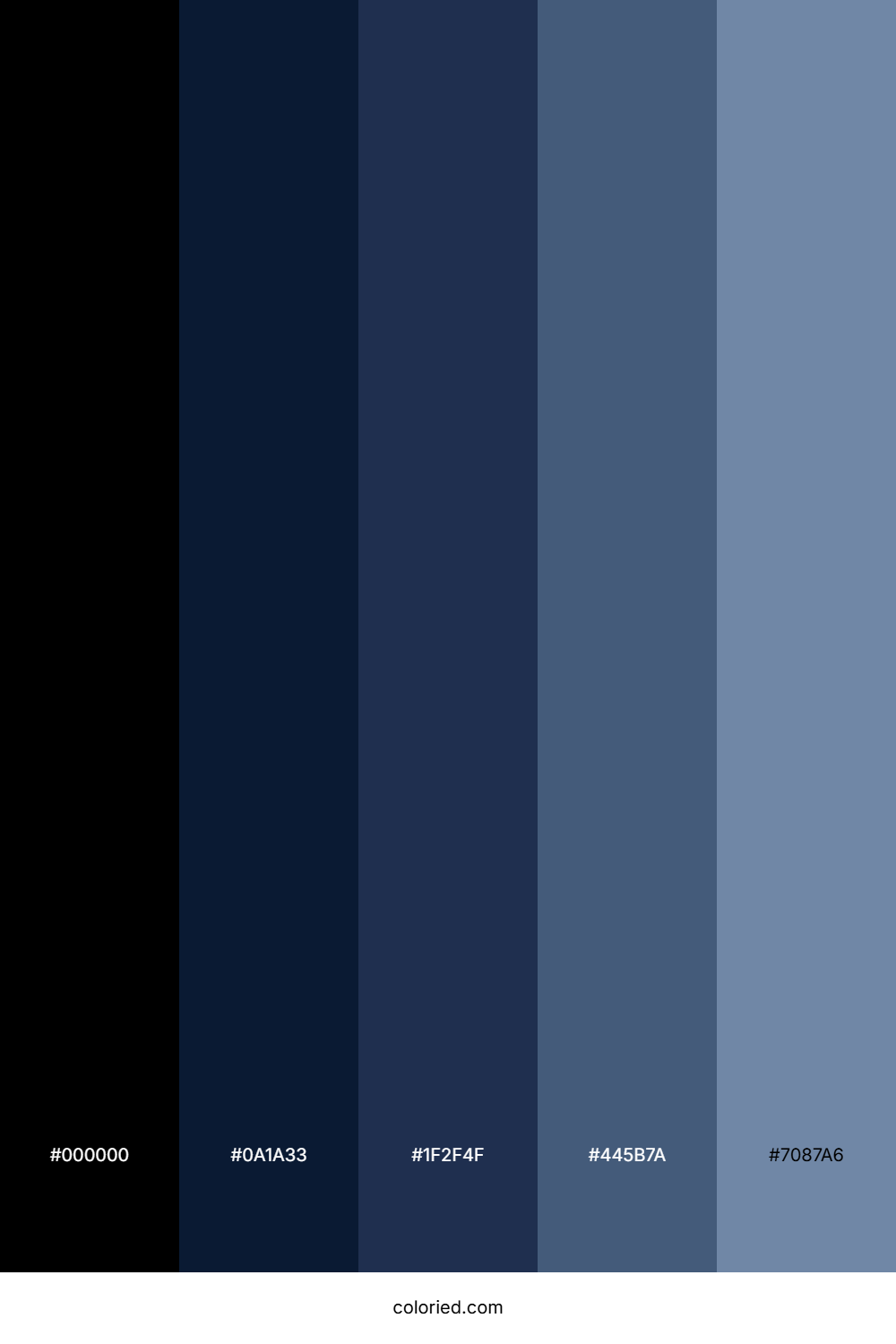 Navy Blue and Black Color Palette
