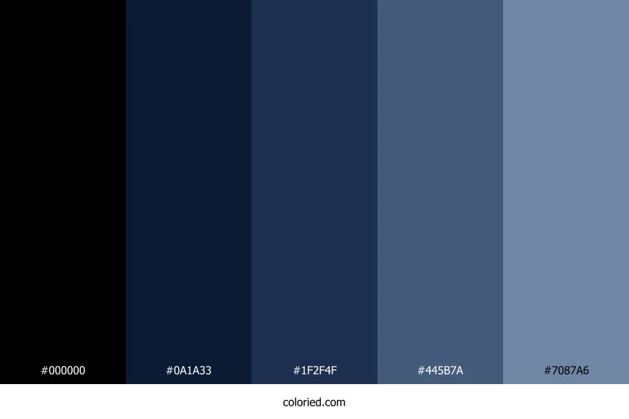 Navy Blue and Black Color Palette