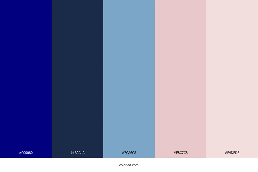 Navy Blue and Blush Pink Color Palette