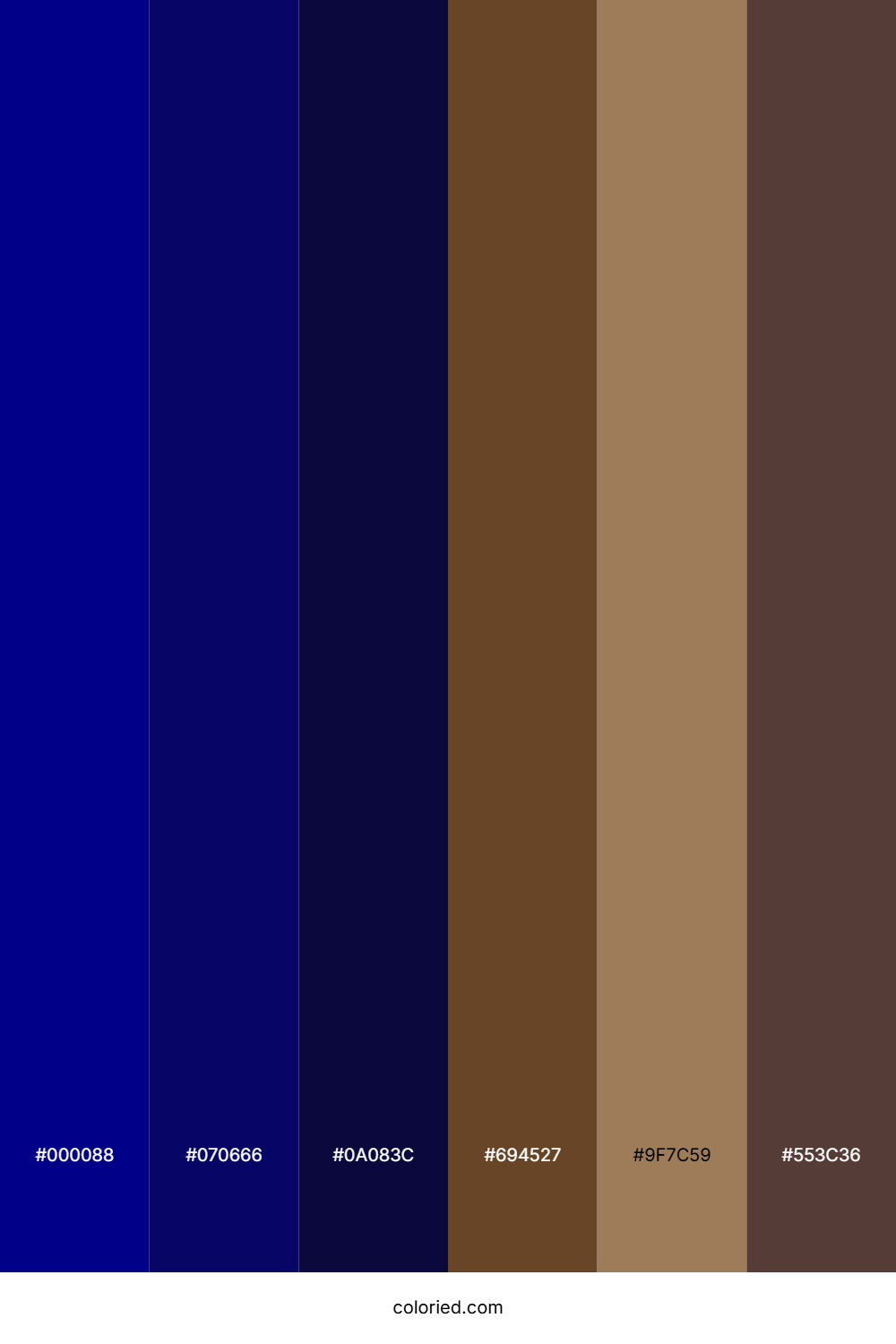 Navy Blue and Brown Color Palette