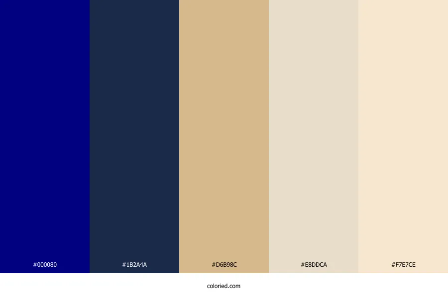 Navy Blue and Champagne Color Palette