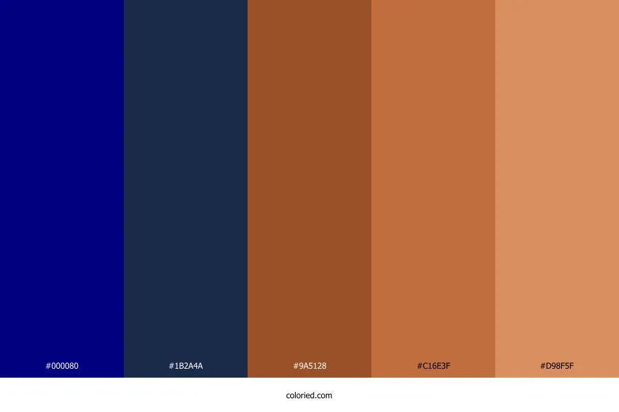 Navy Blue and Copper Color Palette