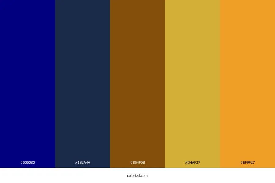 Navy Blue and Gold Color Palette