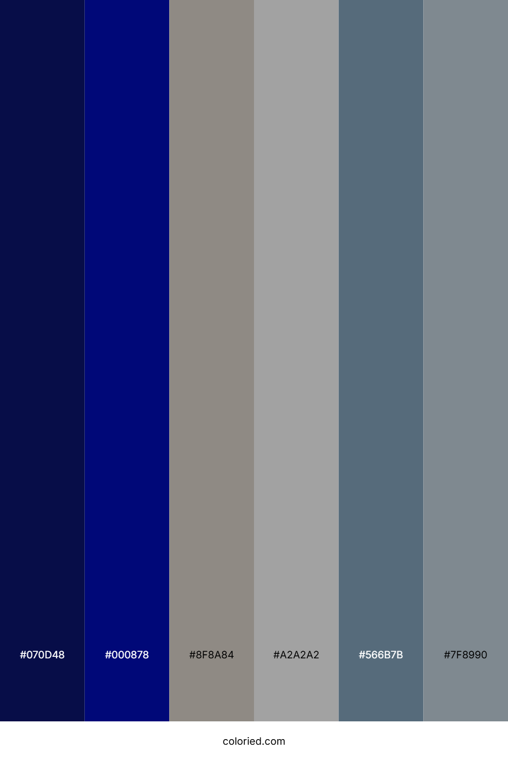 Navy Blue and Gray Color Palette