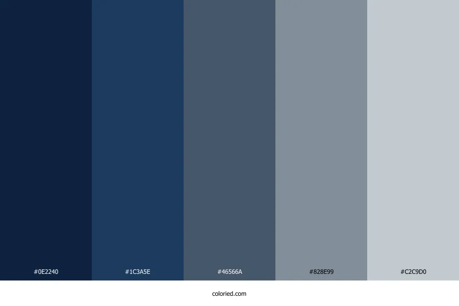 Navy Blue and Grey Color Palette