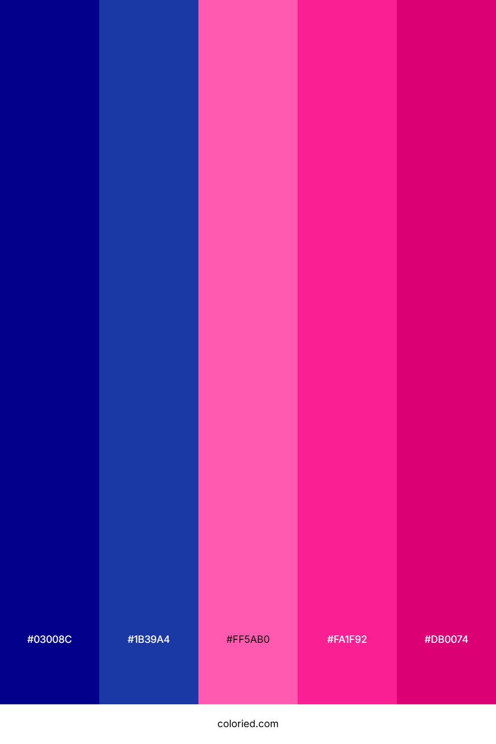 Navy Blue and Hot Pink Color Palette