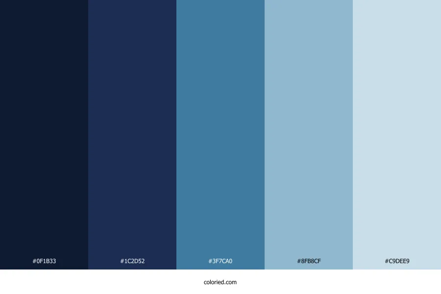 Navy Blue and Light Blue Color Palette