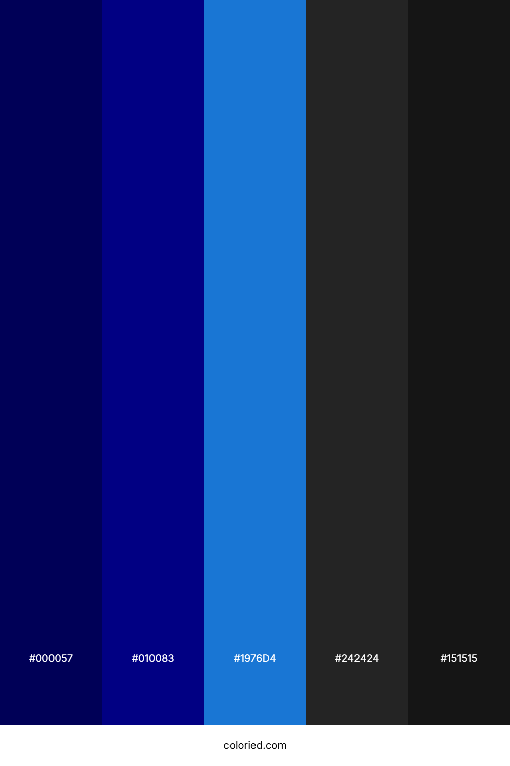 Navy Blue and Midnight Black Color Palette