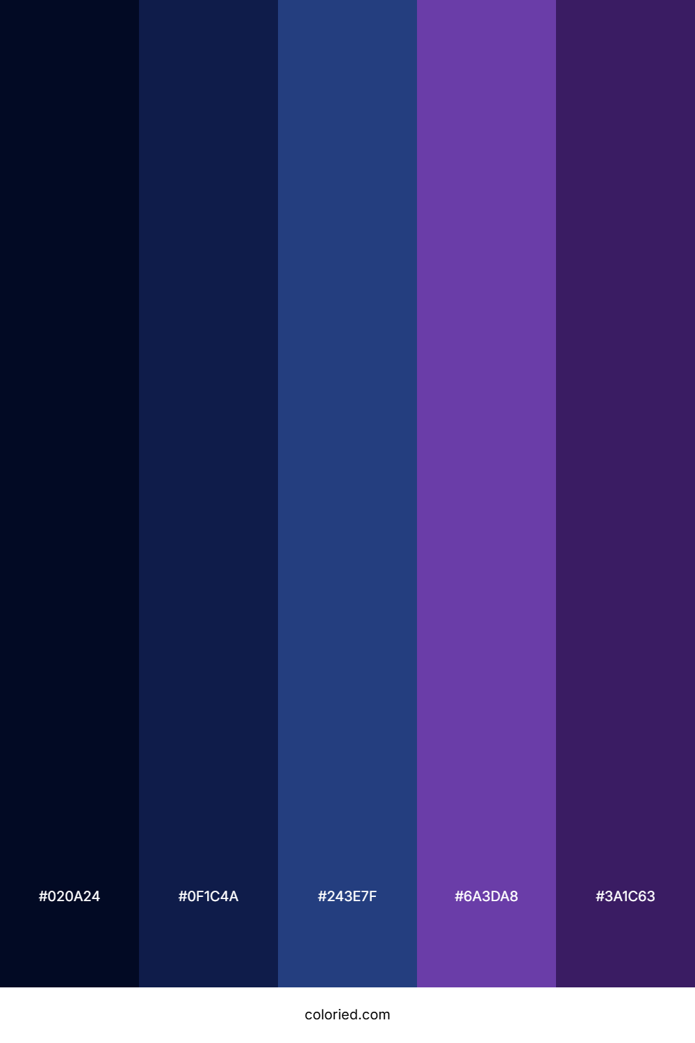 Navy Blue and Purple Color Palette
