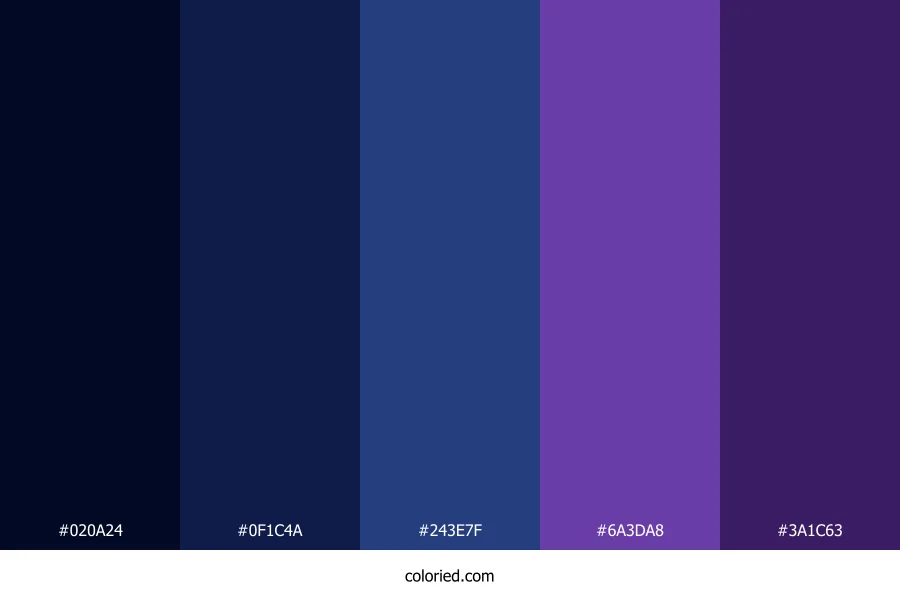 Navy Blue and Purple Color Palette
