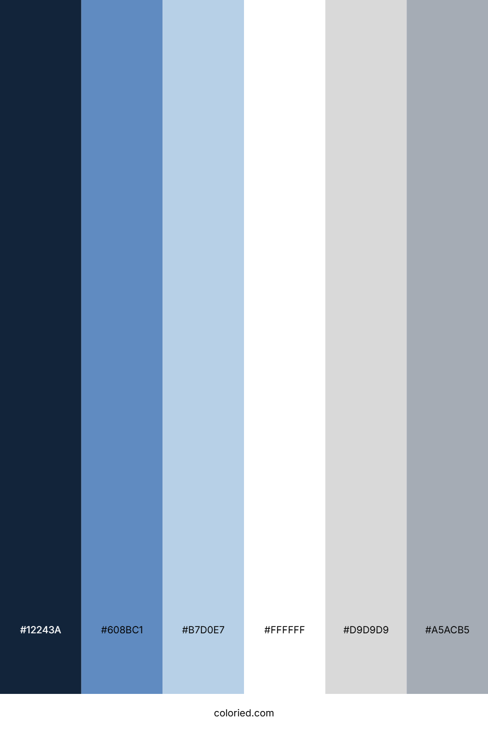Navy Blue and Silver Color Palette