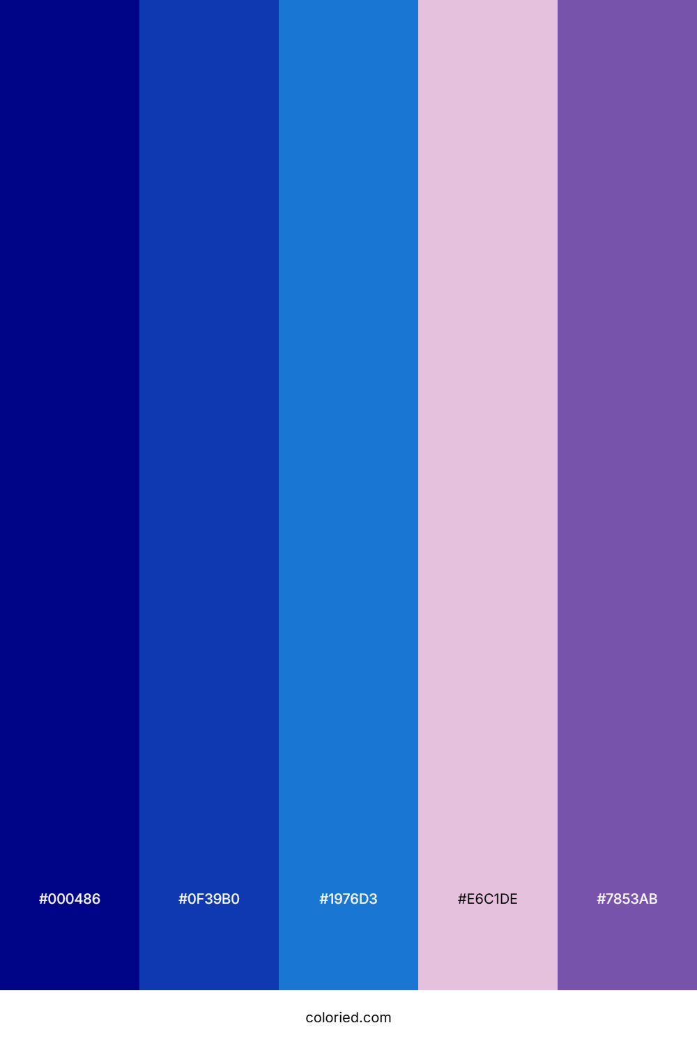 Navy Blue And Vibrant Purple Color Palette