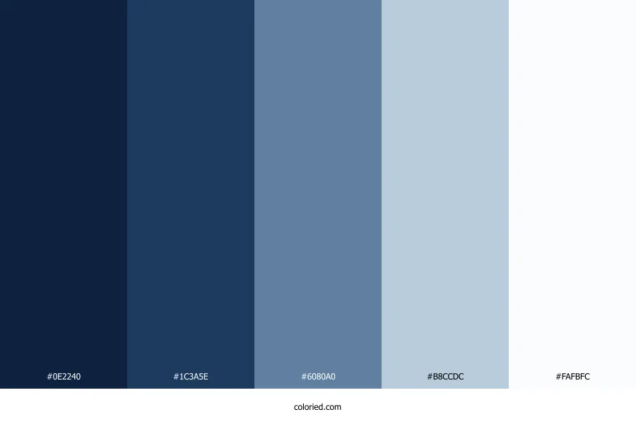 Navy Blue White Color Palette