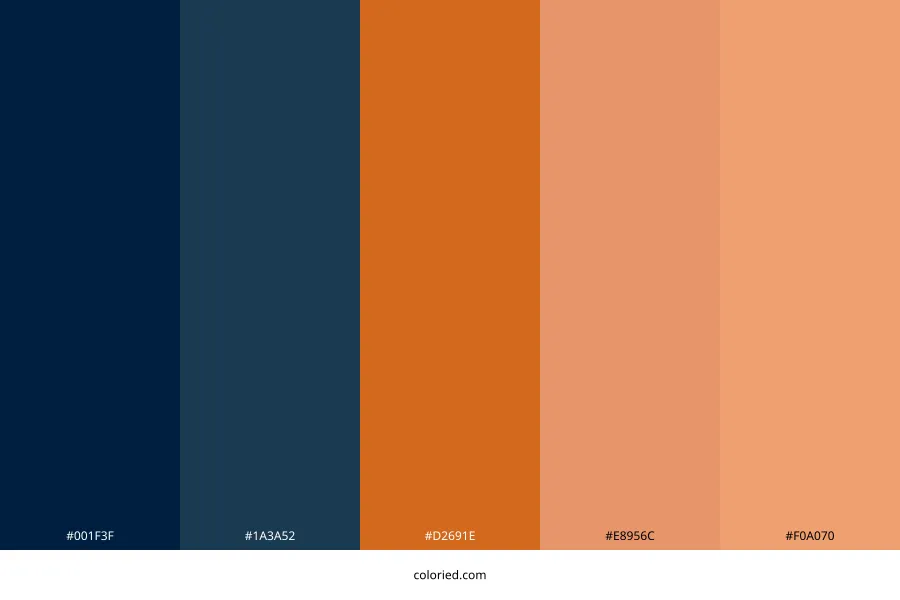 Navy Burnt Orange Color Palette