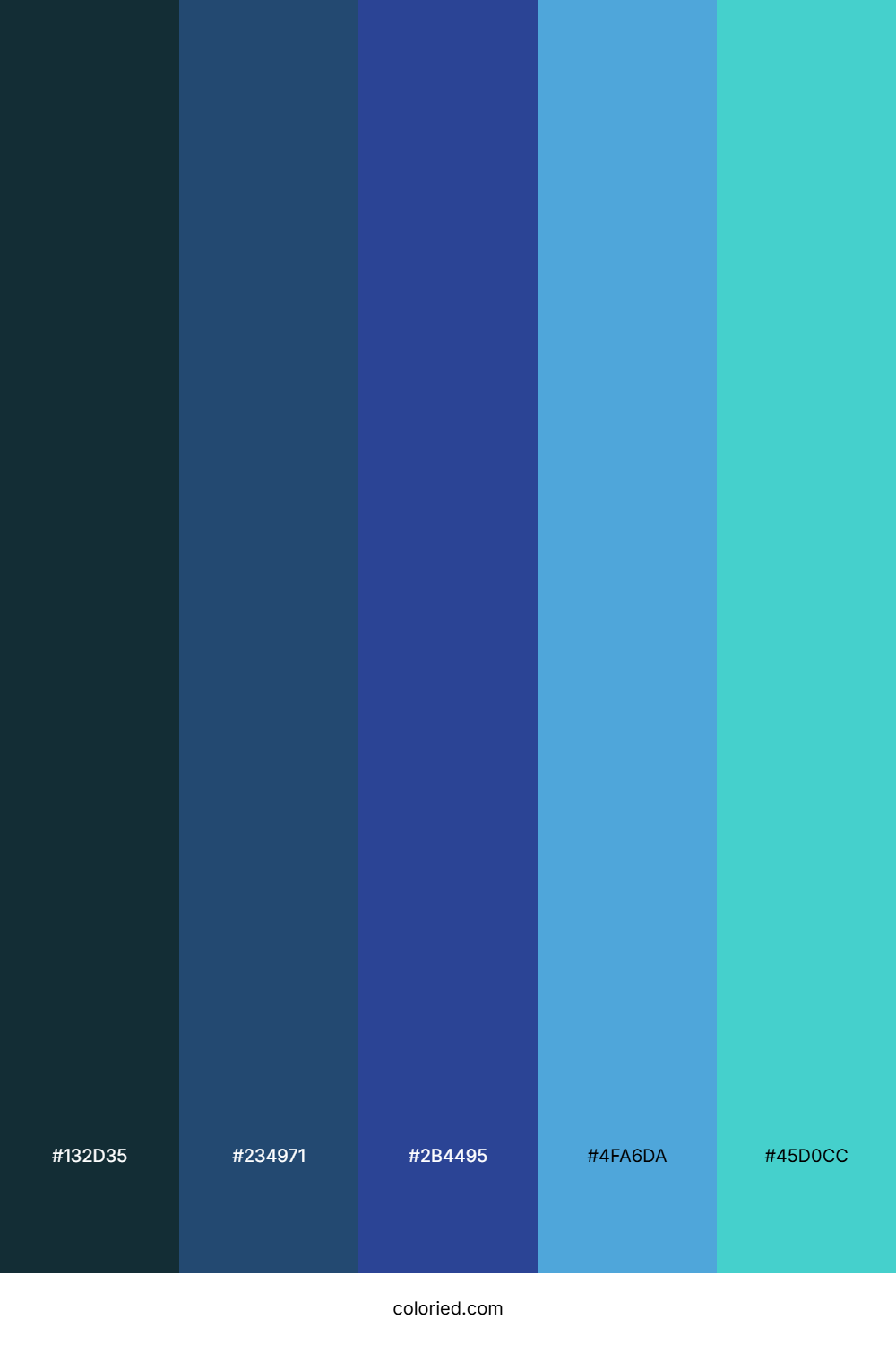 Navy Cove Teal Color Palette
