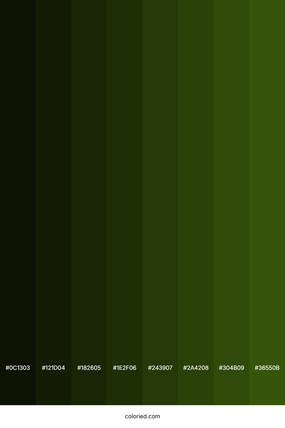 Navy Green Color Shades