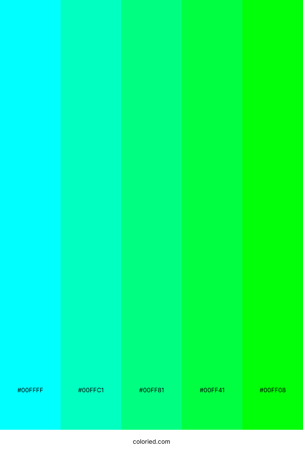 Neon Cyan and Lime Color Palette