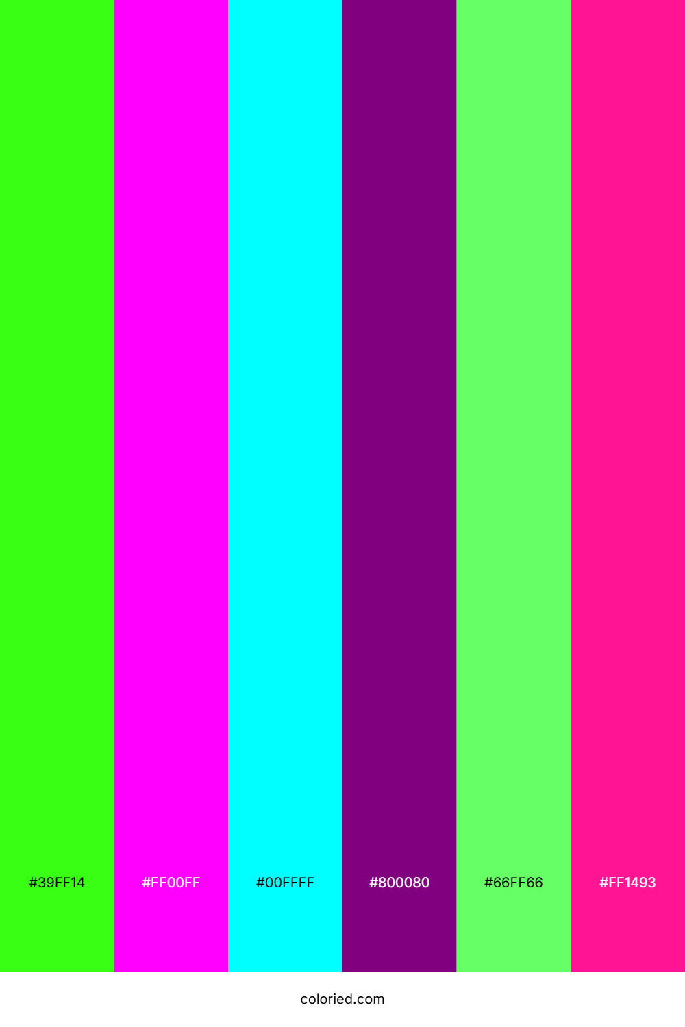 Neon Fuchsia Aqua Palette