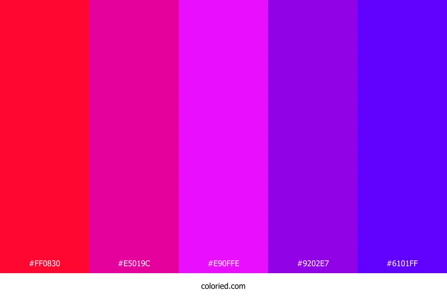 Neon Fuchsia Dream Color Palette