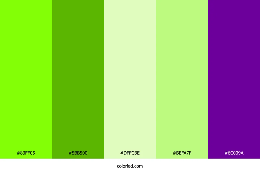 Neon Garden Party Color Palette
