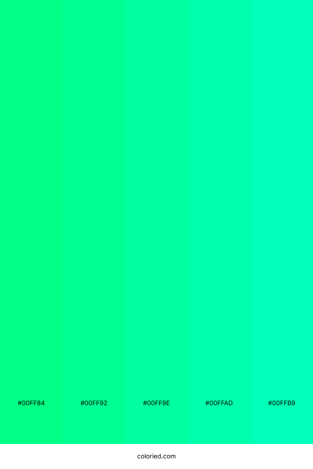 Neon Green and Aqua Color Palette