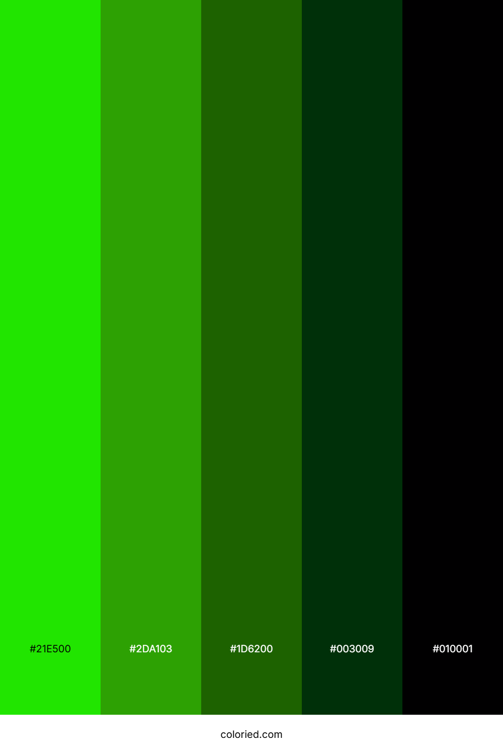 Neon Green and Forest Color Palette