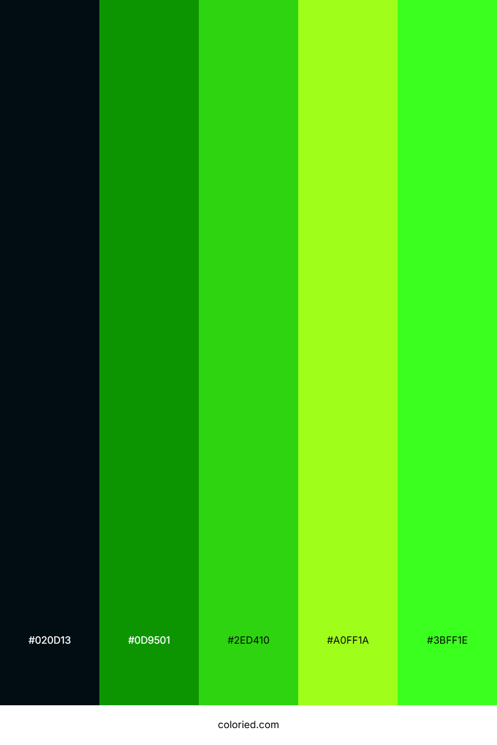 Neon Green And Jet Black Color Palette