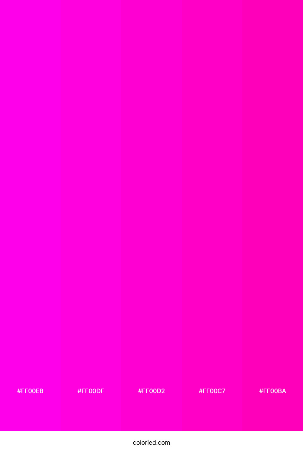 Neon Magenta and Pink Color Palette