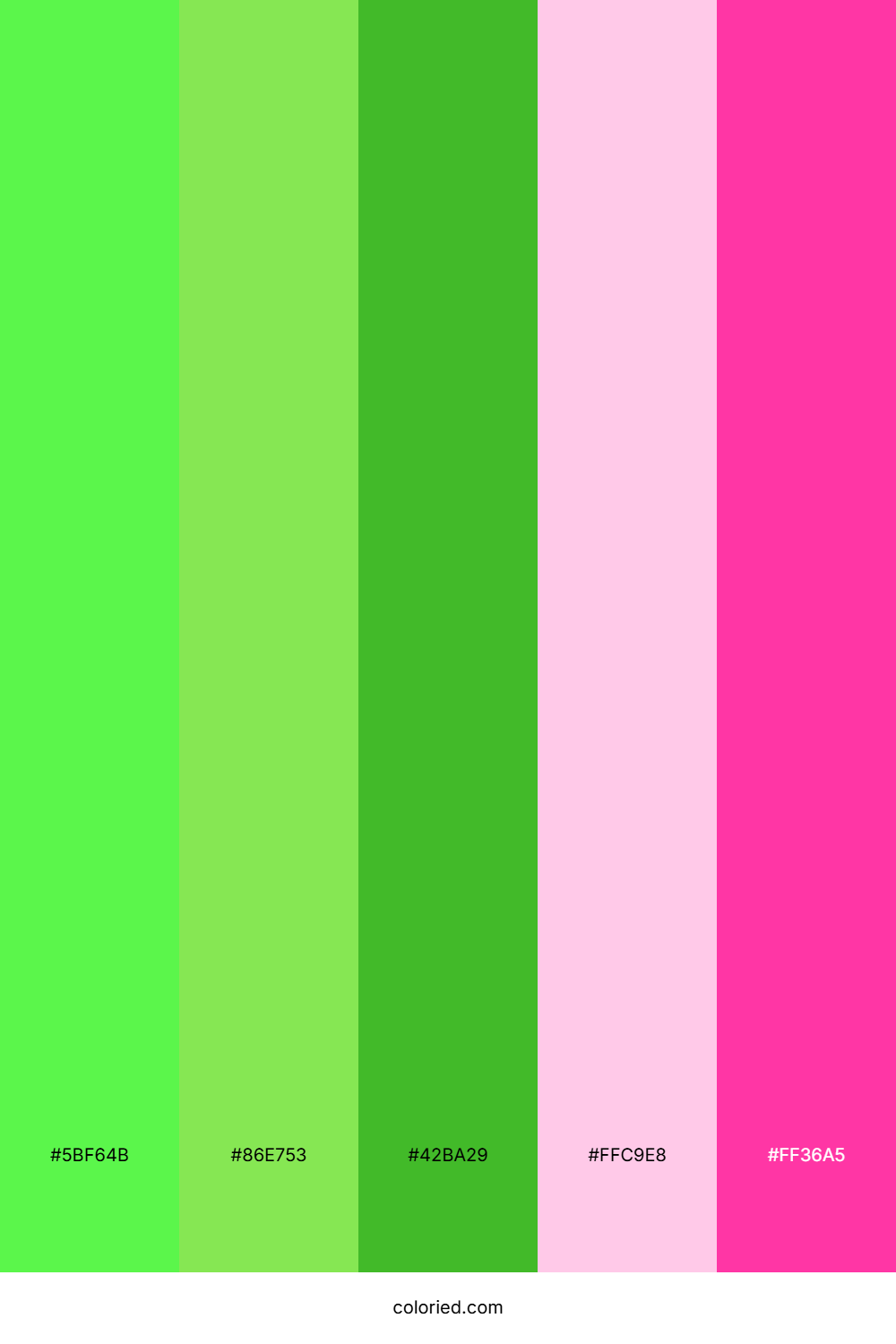 Neon Mint Candy Color Palette