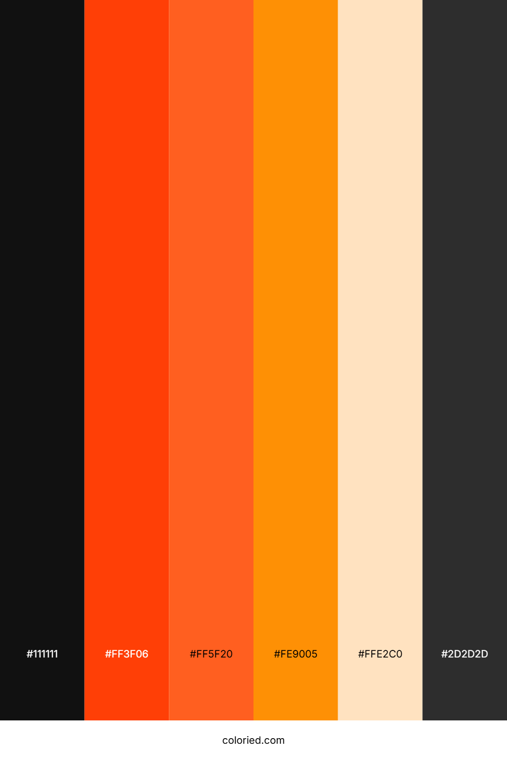 Neon Orange and Charcoal Color Palette