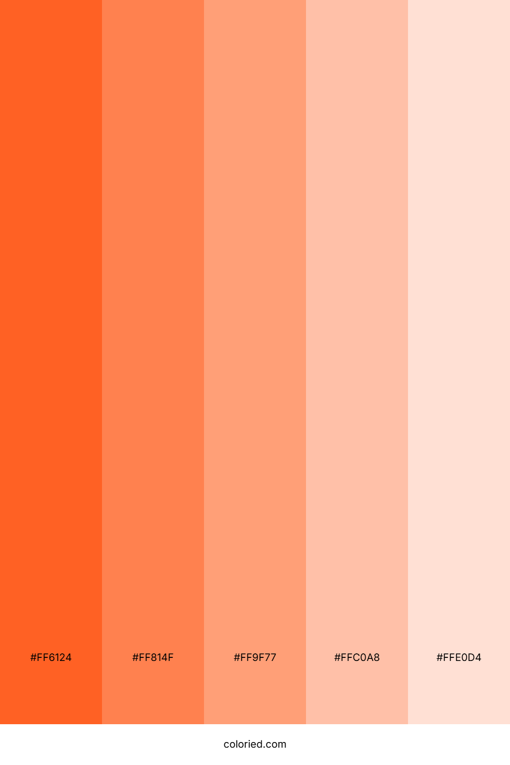 Neon Orange and Peach Color Palette